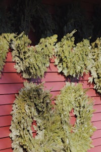 wreaths hanging on a red wall