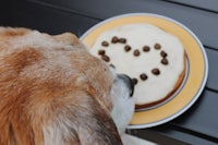 a dog eating a heart shaped cake on a plate